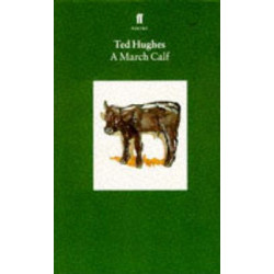 A March Calf