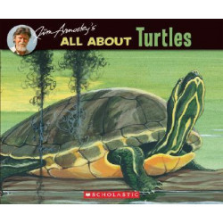All about Turtles