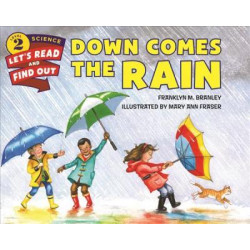 Down Comes the Rain