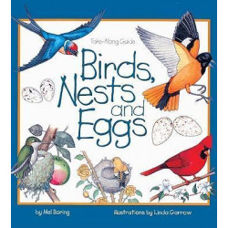 Birds, Nests and Eggs