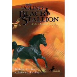 The Young Black Stallion