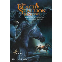 Black Stallion Mystery
