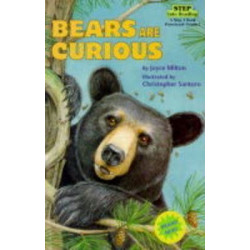 Bears are Curious