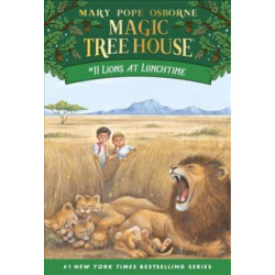 Magic Tree House 11
