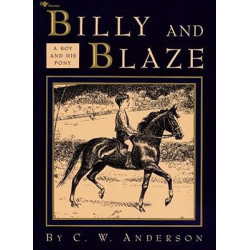 Billy and Blaze: A Boy and His Pony