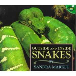 Outside and Inside Snakes