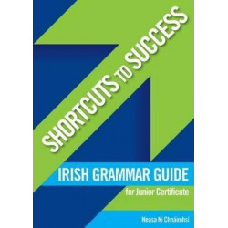 Shortcuts to Success: Irish Grammar Guide