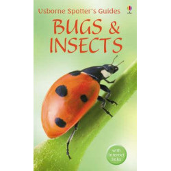 Bugs And Insects