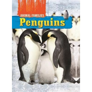 Animal Families: Penguins