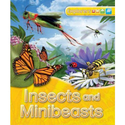 Explorers: Insects and Minibeasts