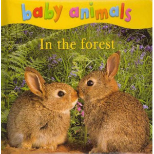 Baby Animals: In the Forest