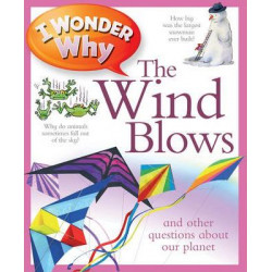 I Wonder Why The Wind Blows