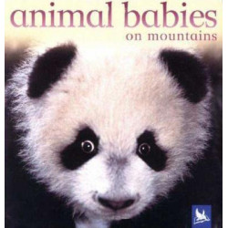 Animal Babies on Mountains