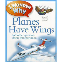 I Wonder Why Planes Have Wings