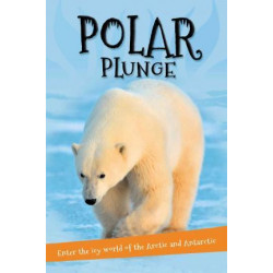 It's All About... Polar Plunge