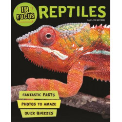 In Focus: Reptiles
