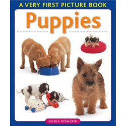 Say and Point Picture Boards: Puppies