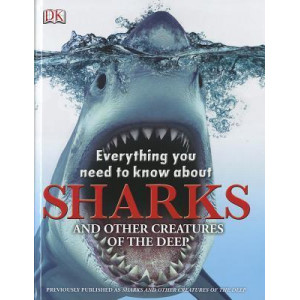 Everything You Need to Know about Sharks