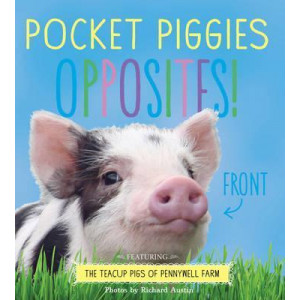 Pocket Piggies: Opposites