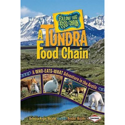 A Tundra Food Chain