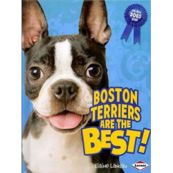 Boston Terriers Are the Best!
