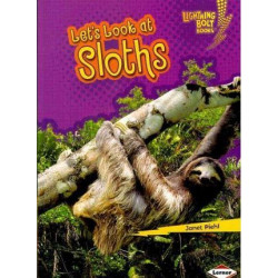 Let's Look at Sloths