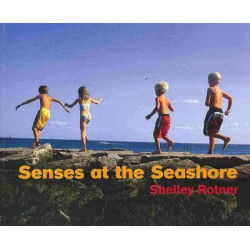 Senses at the Seashore