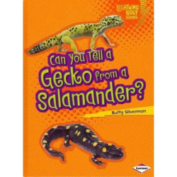 Can You Tell a Gecko from a Salamander?