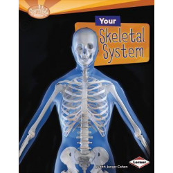 Your Skeletal System