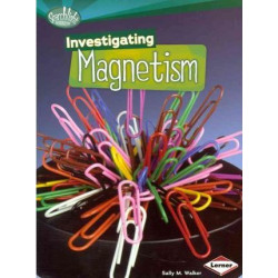 Investigating Magnetism