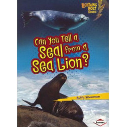 Can You Tell a Seal from a Sea Lion?