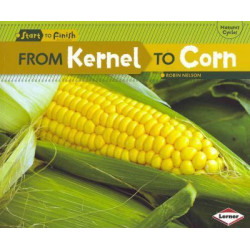 From Kernel to Corn