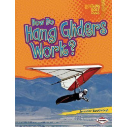 How Do Hang Gliders Work?