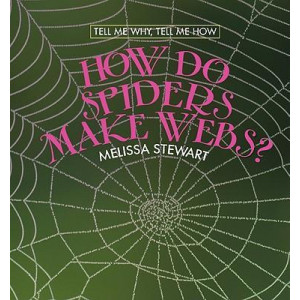 How Do Spiders Make Webs?