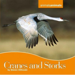 Cranes and Storks