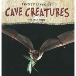 Secret Lives of Cave Creatures