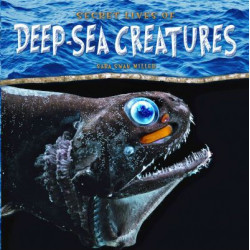 Secret Lives of Deep-sea Creatures