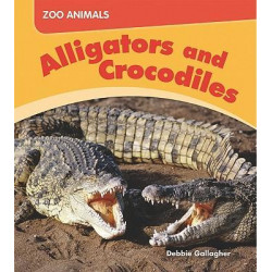 Us Myl Zooa Crocodiles and Allig