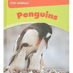 Us Myl Zooa Penguins