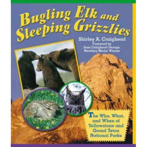 Bugling Elk and Sleeping Grizzlies
