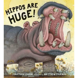Hippos Are Huge!