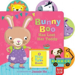 Bunny Boo Has Lost Her Teddy