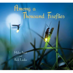 Among a Thousand Fireflies