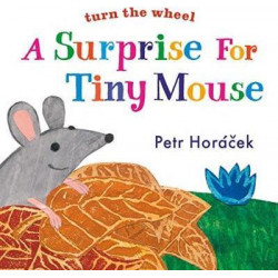 A Surprise for Tiny Mouse