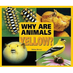 Why are Animals Yellow?