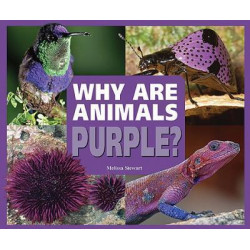 Why are Animals Purple?