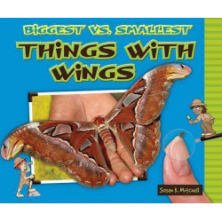 Biggest vs. Smallest Things with Wings