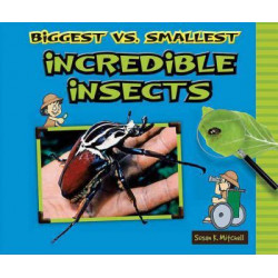 Biggest vs. Smallest Incredible Insects