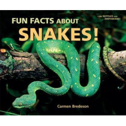 Fun Facts About Snakes!