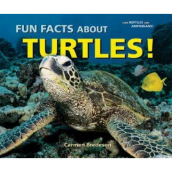 Fun Facts About Turtles!